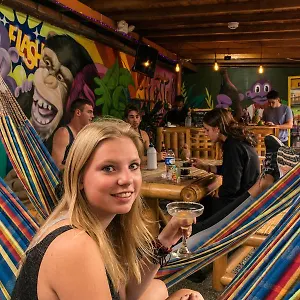  Auberge de jeunesse Purple Monkey Colombie